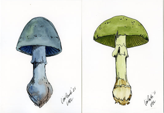 Earthy Mushrooms (Set of 4)