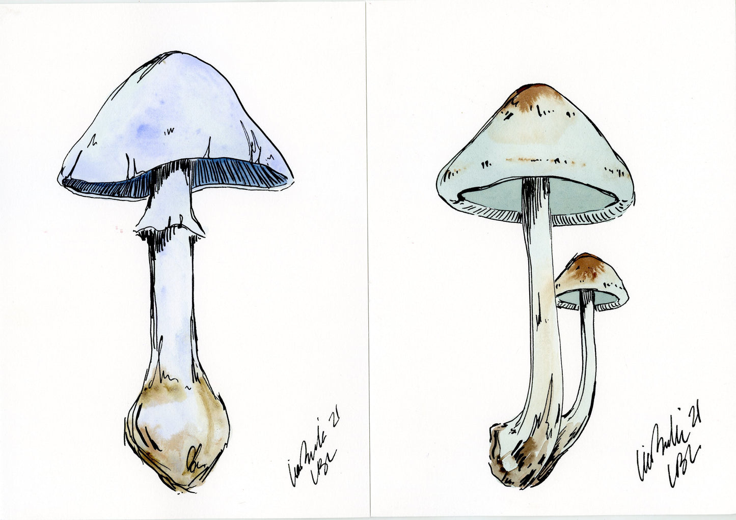 Rainbow Mushrooms (Set of 4)