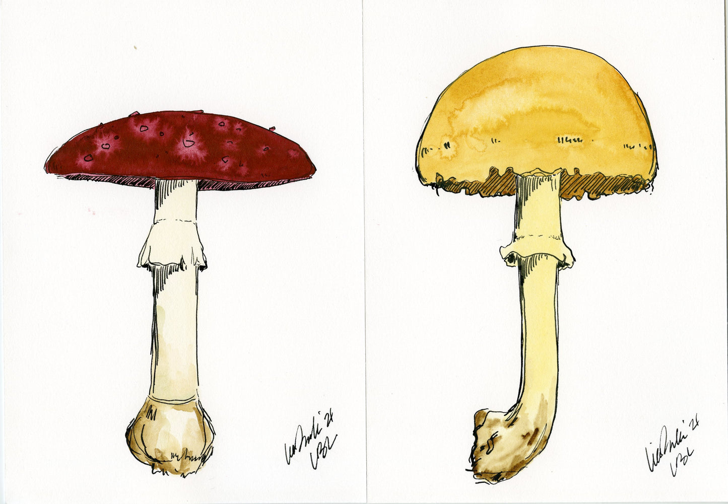 Earthy Mushrooms (Set of 4)